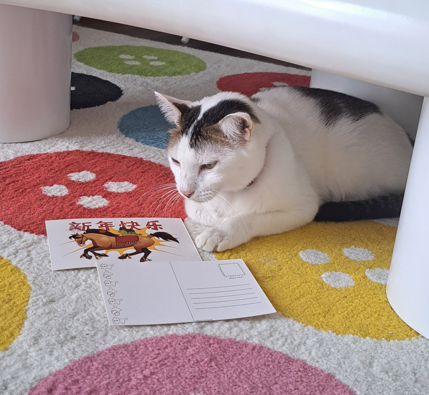 year of the horse postcard (pre-order!)